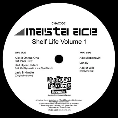 Masta Ace/Bob Power/Tonedeff/Russell Peters/Rosie Perez/Timoor Anunnaki/Tony Rock/eMC/Steve 