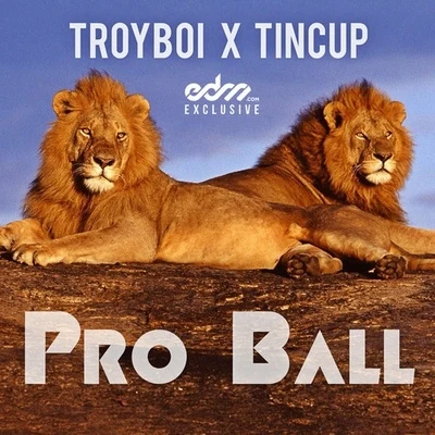 TroyBoi/FlosstradamusPro Ball