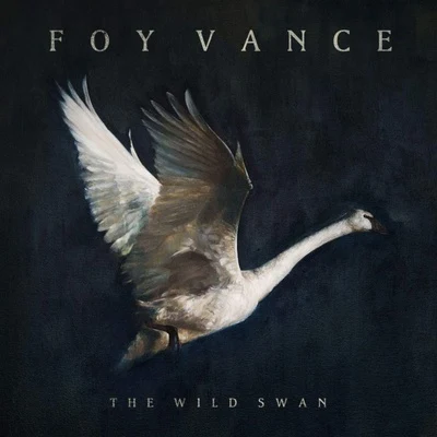 Foy Vance/Christophe Beck/Ed Sheeran/The Soundwaves/Johnny McDaidThe Wild Swan