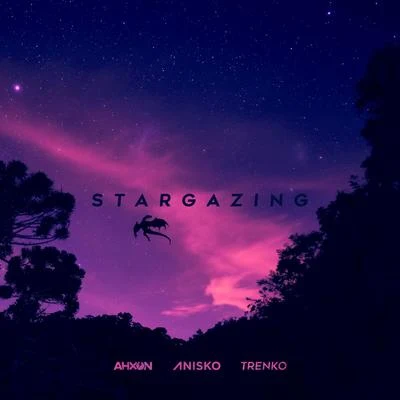 AniskoAhXonStargazing