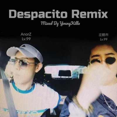 林渝植AnoryzDespacito Remix