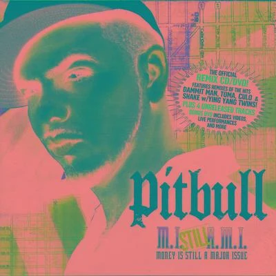 PitbullShakiraMoney Is Still A Major Issue - Clean