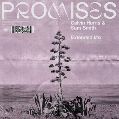 Sam Smith/David Guetta/Calvin HarrisPromises (Extended Mix)