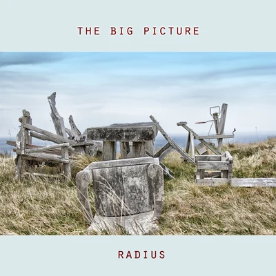 RadiusThe Big Picture