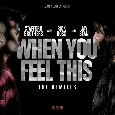 Stafford Brothers/DBNWhen You Feel This Remixes