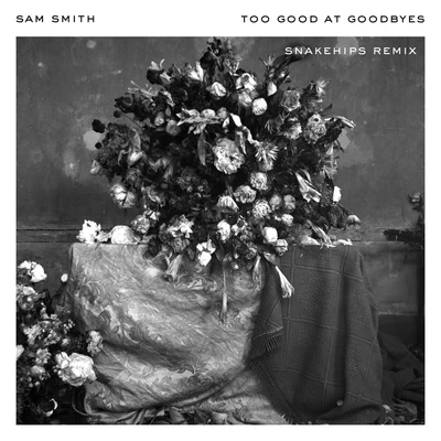 Sam Smith/David Guetta/Calvin HarrisToo Good At Goodbyes (Snakehips Remix)