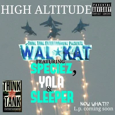 SleeperHigh Altitude (feat. Species, Yola & Sleeper)