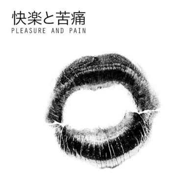 Djedjotronic/Boys NoizePleasure & Pain (feat. Miss Kittin)