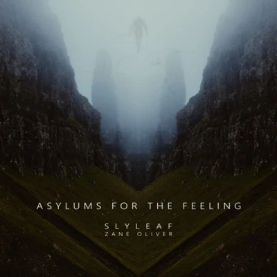 Slyleaf/Capturelight/Jasper Malone/ViticzAsylums for the Feeling