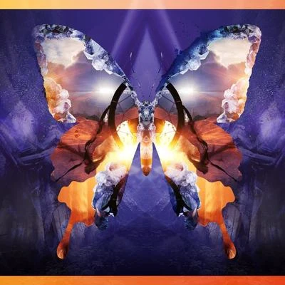 Tritonal/LaurellPainting With Dreams Tour Edits