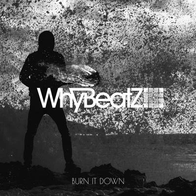 WhyBeatZBURN IT DOWN