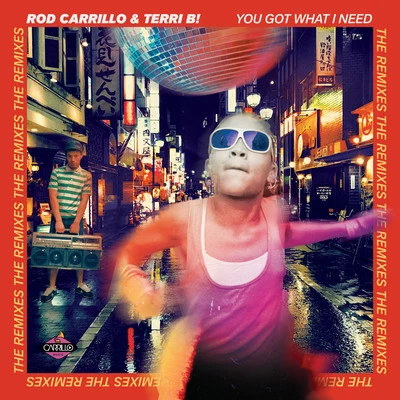 Terri B!You Got What I Need (The Remixes)