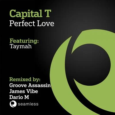 Capital T/MixeyPerfect Love