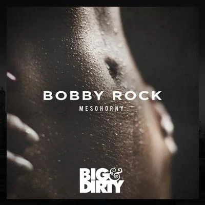 Bobby RockMeSoHorny