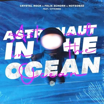 Crystal Rock/ShwannAstronaut In The Ocean