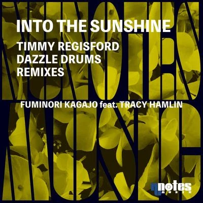 Fuminori Kagajo/Jaidene VedaInto The Sunshine (Timmy Regisford & Dazzle Drums Remixes)