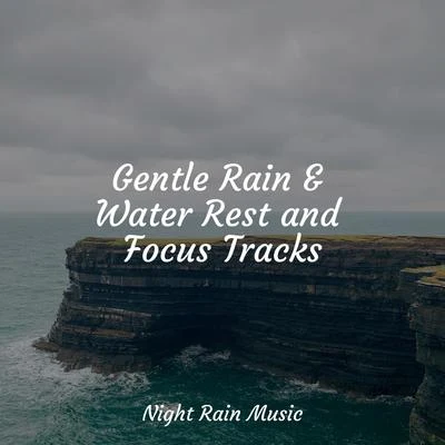 Buddhist Meditation Music SetGentle Rain & Water Rest and Focus Tracks