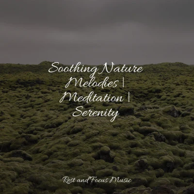 Nature Music Pregnancy Academy/Nature Sounds for Concentration/Serenity Spa Music RelaxationSoothing Nature Melodies | Meditation | Serenity