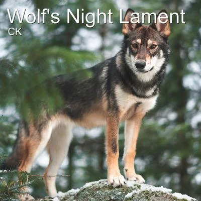 CKWolfs Night Lament