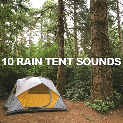 Nature Noise/Study Zone/Relaxing Nature Sounds Collection10 Rain Tent Sounds