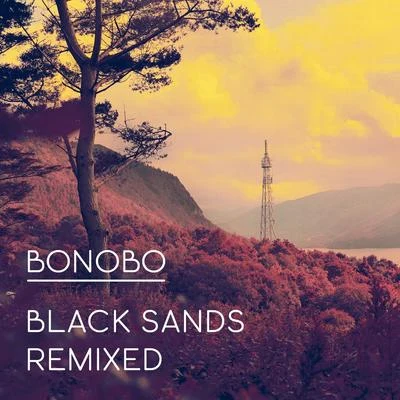 Bonobo/Jacques GreeneBlack Sands Remixed