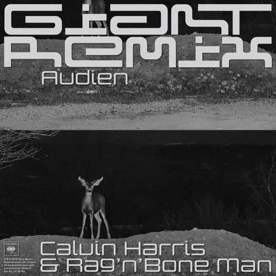 RagNBone Man/Professor GreenGiant (Audien Extended Remix)