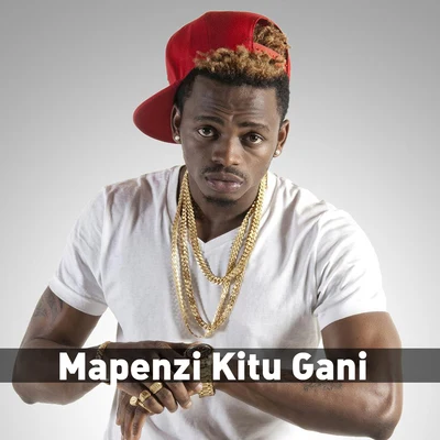 Diamond PlatnumzMapenzi Kitu Gani