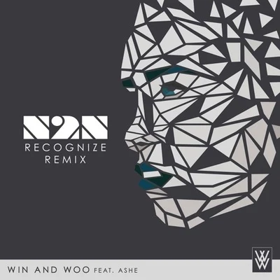 N2NRecognize (N2N Remix)