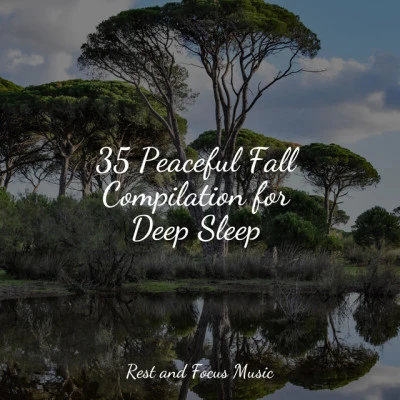 Entspannungsmusik Meer35 Peaceful Fall Compilation for Deep Sleep