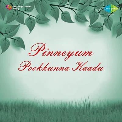 Shyam/SylowPinneyum Pookkunna Kaadu (Original Motion Picture Soundtrack)