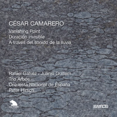 Peter HirschCAMARERO, C.: Vanishing PointDuracion invisibleA traves del sonido de la lluvia (Spanish National Orchestra, Hirsch)