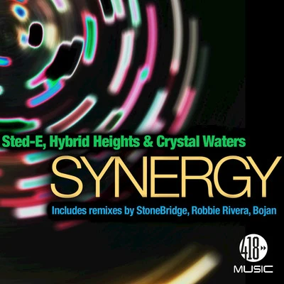 Sted-E/Todd Terry/Mr.V/Hybrid HeightsSynergy