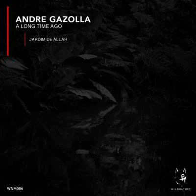 Andre GazollaA Long Time Ago