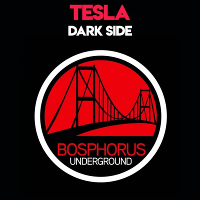 Michael Felix/TeslaDark Side