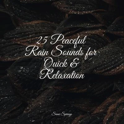 Natural Sample Makers25 Peaceful Rain Sounds for Quick & Relaxation