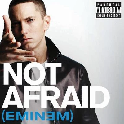 Eminem/Ed SheeranNot Afraid