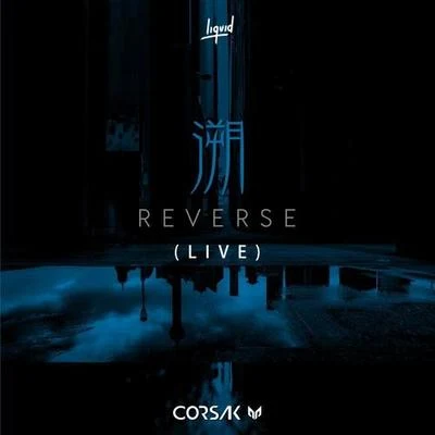 CORSAK/Omar Noir/Alan Walker/K-391/Emelie Hollow/Sorana/AURA/Sofia Carson/Steve Aoki/Tomine Harket溯 Reverse（Live）