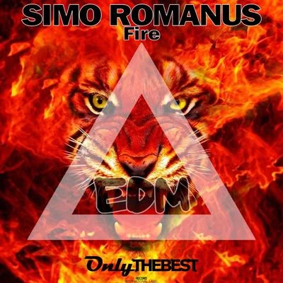 Simo RomanusFire