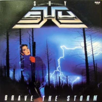 SHYBrave the Storm