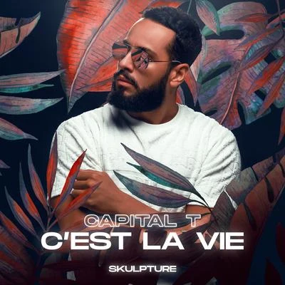 Capital T/MixeyCest la vie