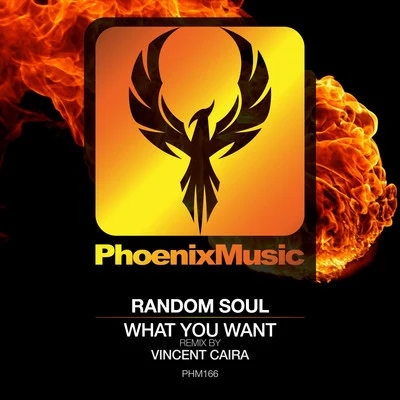 Random SoulWhat You Want (Vincent Caira Remix)