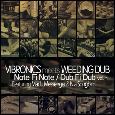 Vibronics/Rod TaylorNote Fi NoteDub Fi Dub, Vol. 1