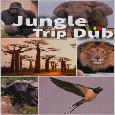 BlackJungle Trip Dub