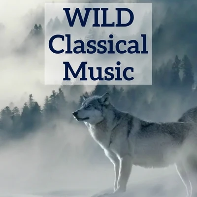 Edvard GriegWild Classical Music