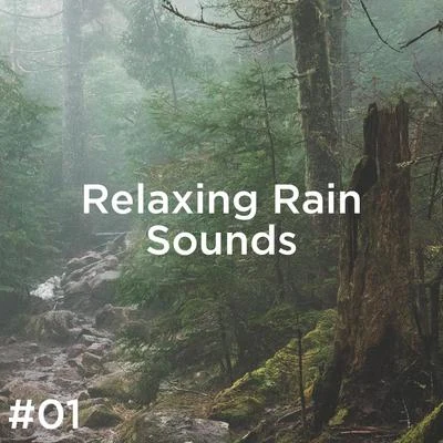 Rain for Deep Sleep#01 Relaxing Rain Sounds