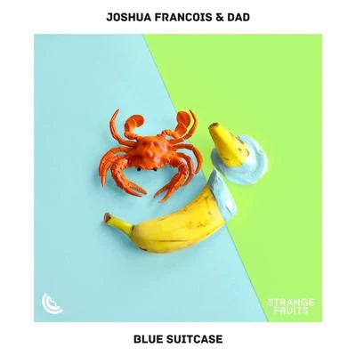 Joshua FrancoisDADBlue Suitcase