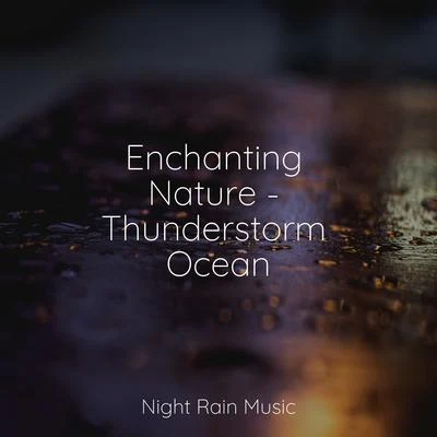 Buddhist Meditation Music Set/Spa/Sample Rain LibraryEnchanting Nature - Thunderstorm Ocean