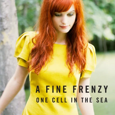 A Fine FrenzyOne Cell In The Sea