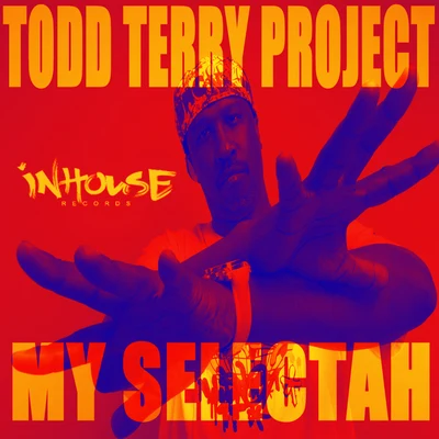 Todd Terry ProjectTodd Terry Project - My Selectah