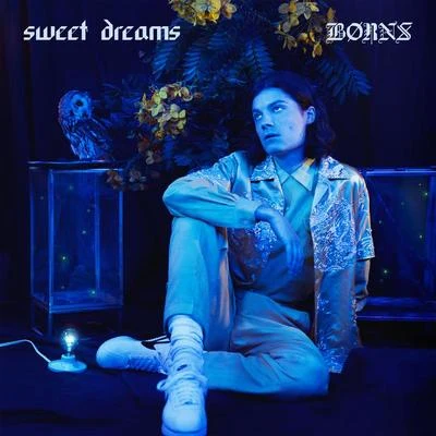 BØRNS/Glass AnimalsSweet Dreams